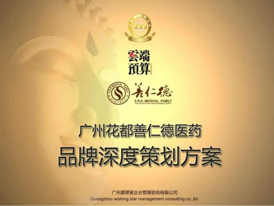 健康保健医疗行业少见的品牌策划方案.ppt.ppt_第1页