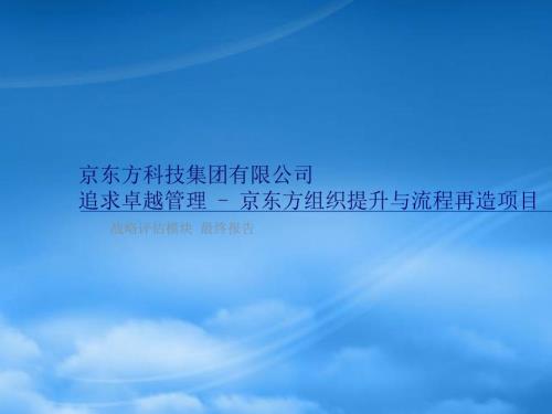 京东方战略报告最终版PPT136页.pptx