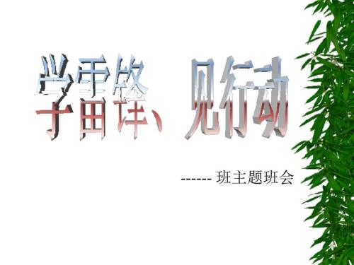 学雷锋主题队会PPT课件.ppt