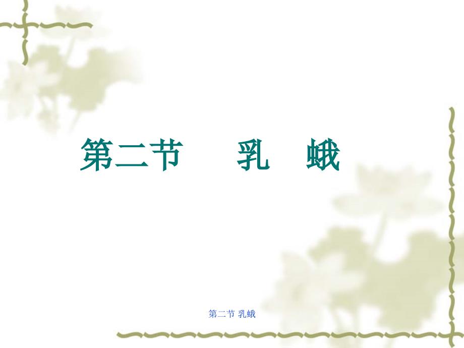 乳蛾优秀课件.ppt_第1页