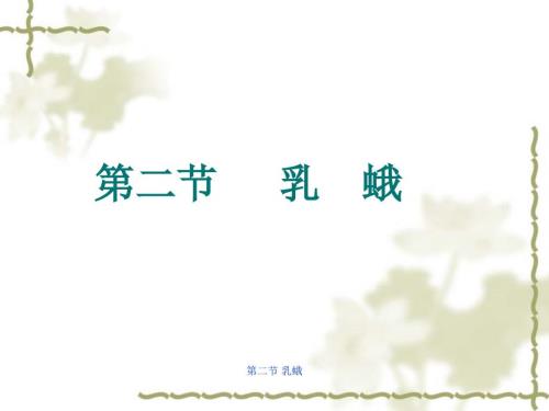 乳蛾优秀课件.ppt
