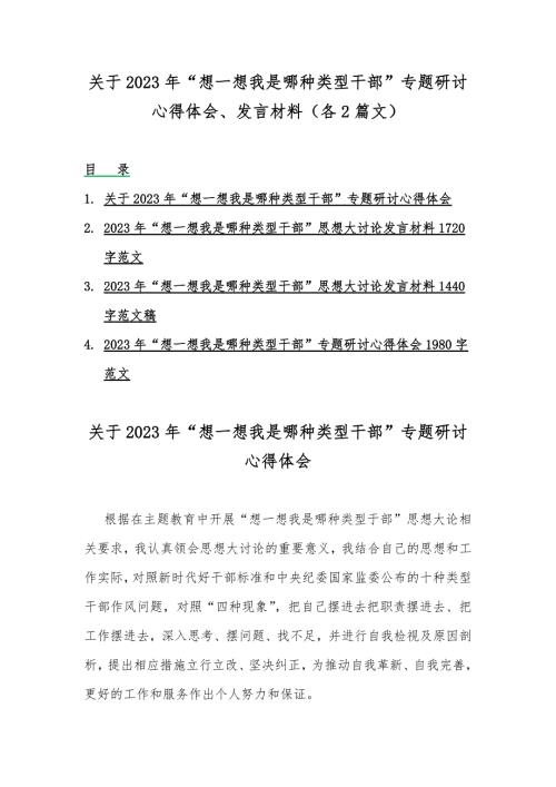 关于2023年想一想我是哪种类型干部专题研讨心得体会发言材料各2篇文.docx