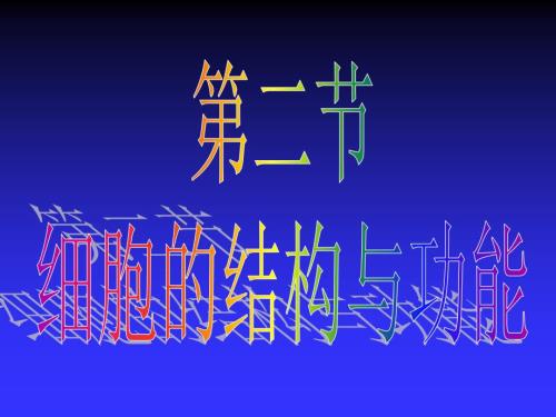 人体细胞结构PPT课件.ppt
