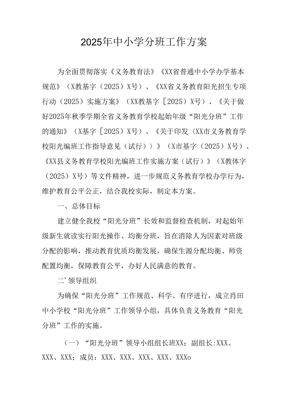 2025年开展《中小学分班》工作实施方案 合计12份.docx_第1页