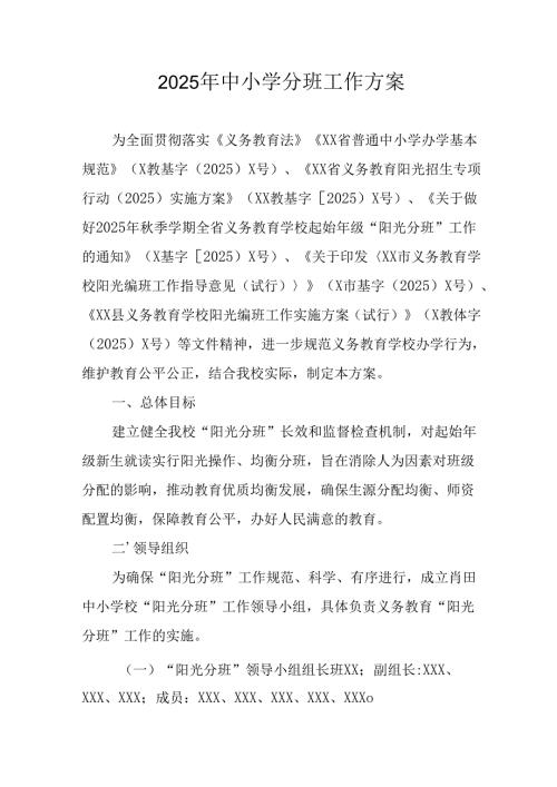 2025年开展《中小学分班》工作实施方案 合计12份.docx