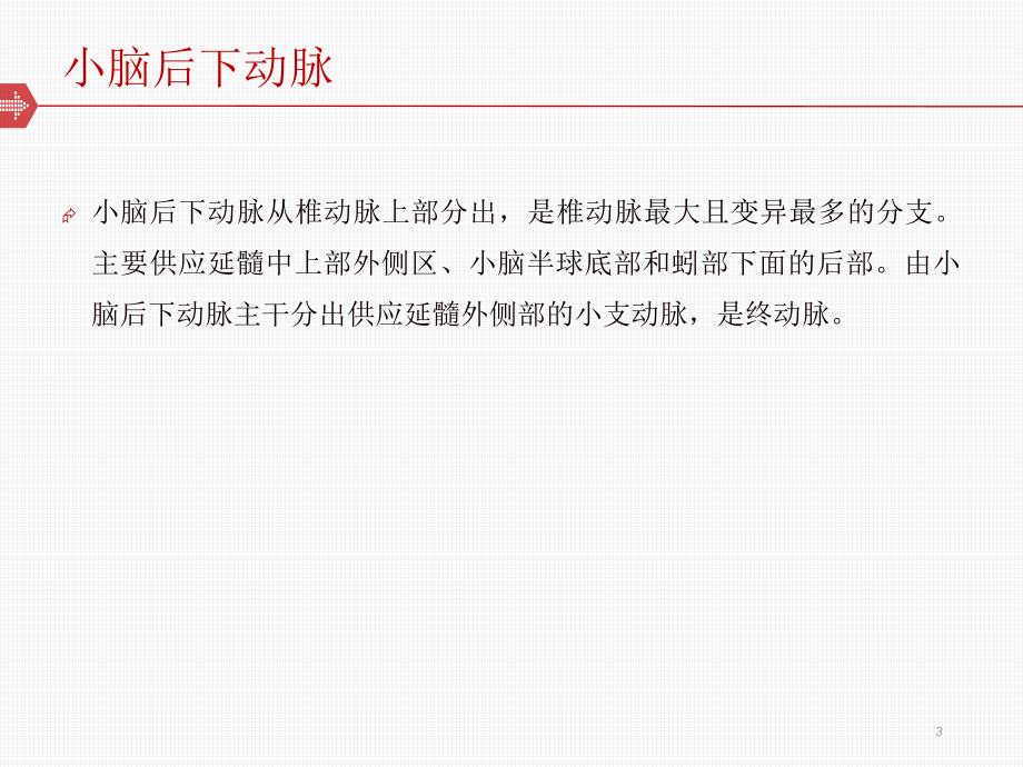 优质课件延髓背外侧综合征的康复治疗.ppt_第3页
