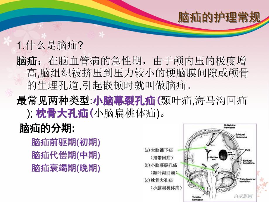 危重病护理常规PPT课件.ppt_第3页