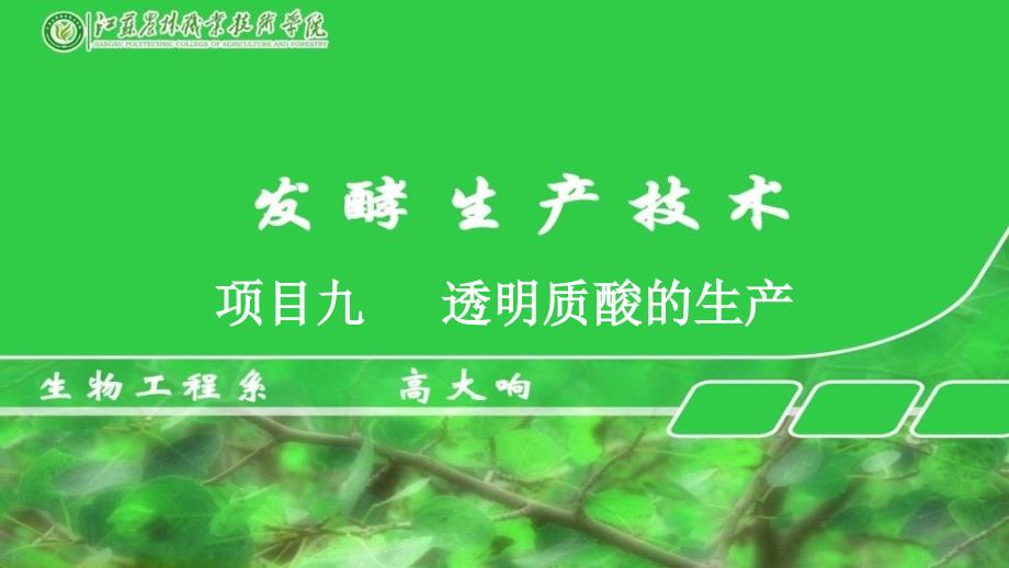 发酵9项目九透明质酸的生产.ppt_第1页