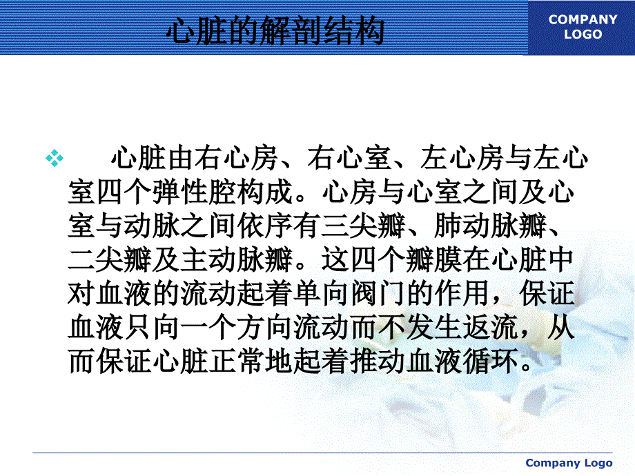 二尖瓣置换术.ppt_第3页
