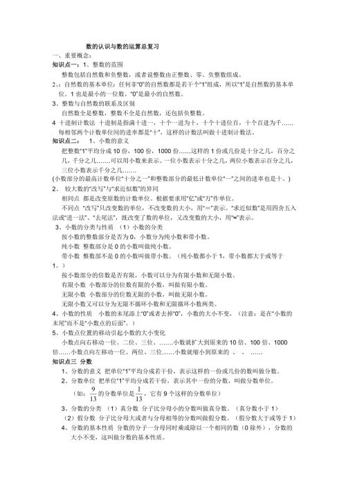 六年级下册数的认识与数的运算总复习.doc