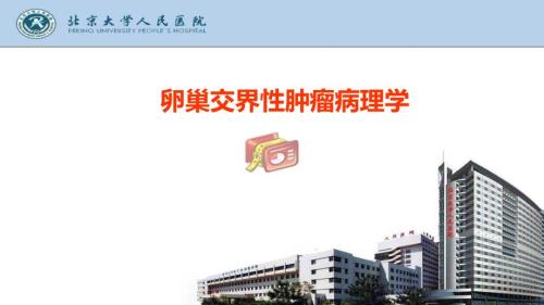 卵巢交界性肿瘤的病理学PPT课件.pptx