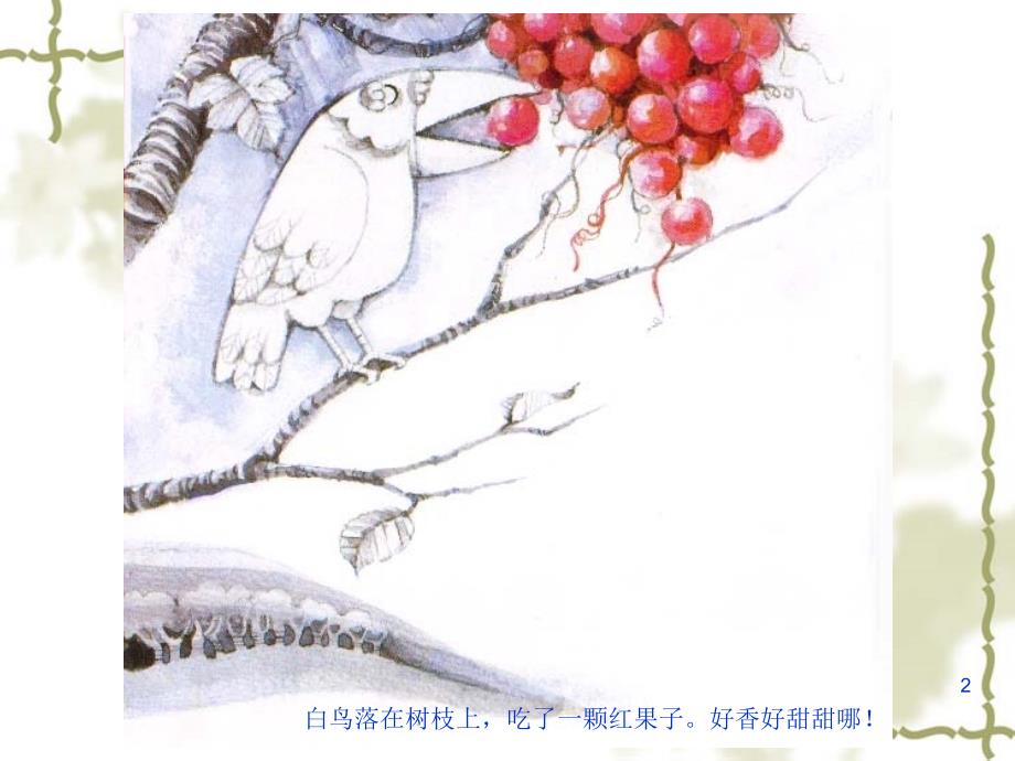 变色鸟课件有文字.ppt_第2页