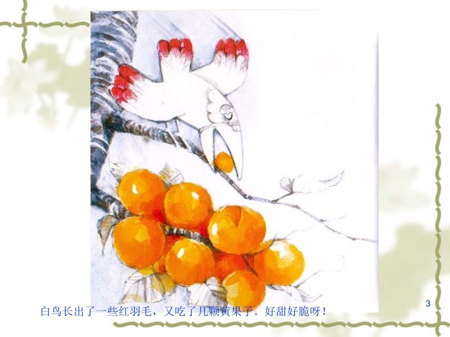 变色鸟课件有文字.ppt_第3页