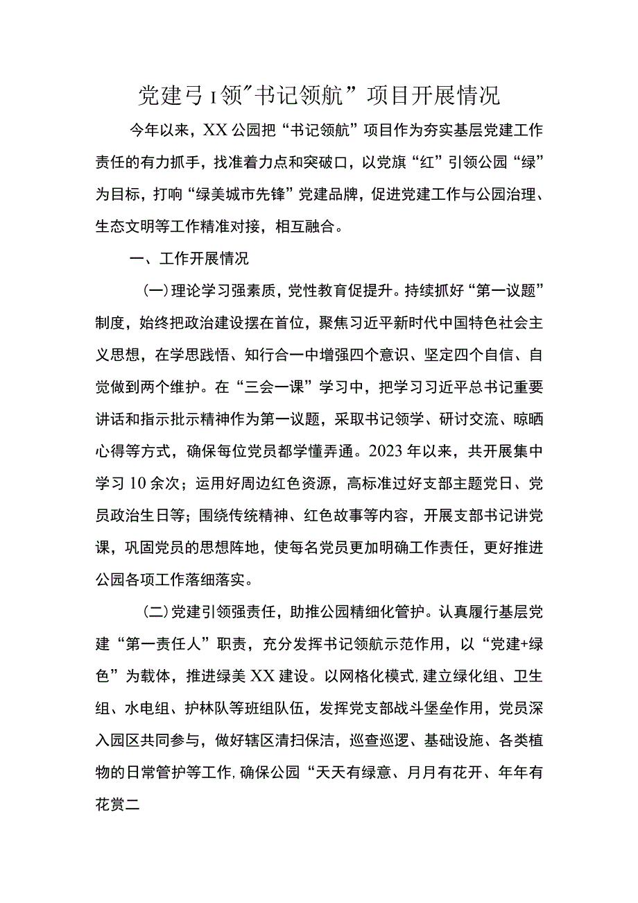 党建引领书记领航项目开展情况.docx_第1页