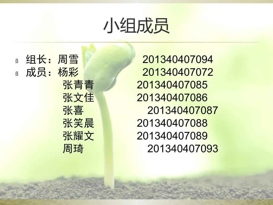 华为财务报表分析课件.ppt_第2页