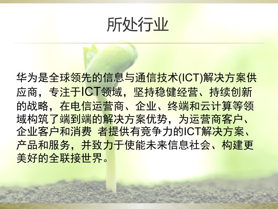 华为财务报表分析课件.ppt_第3页