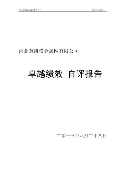 卓越绩效自评报告完整版.doc