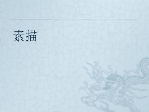 人像素描基础PPT课件.ppt