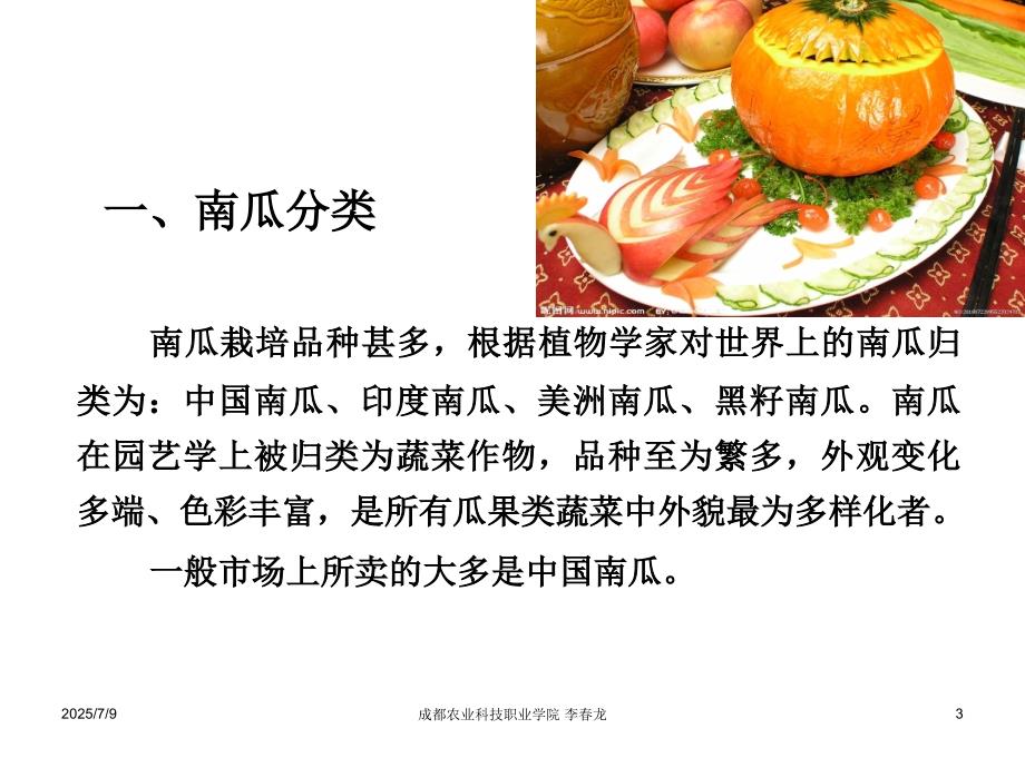 南瓜种植PPT课件.ppt_第3页