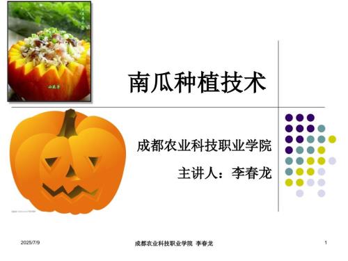 南瓜种植PPT课件.ppt