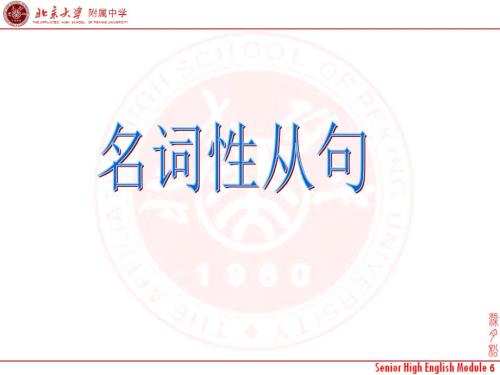 名词性从句nounclause北大附中.ppt