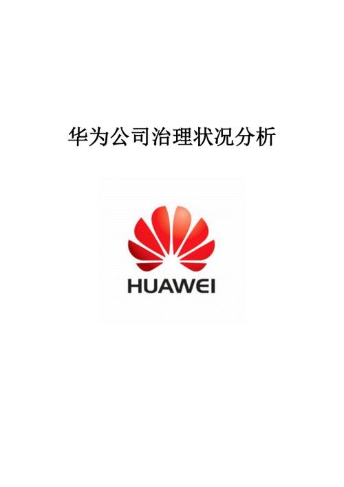 华为公司治理与内部控制.doc