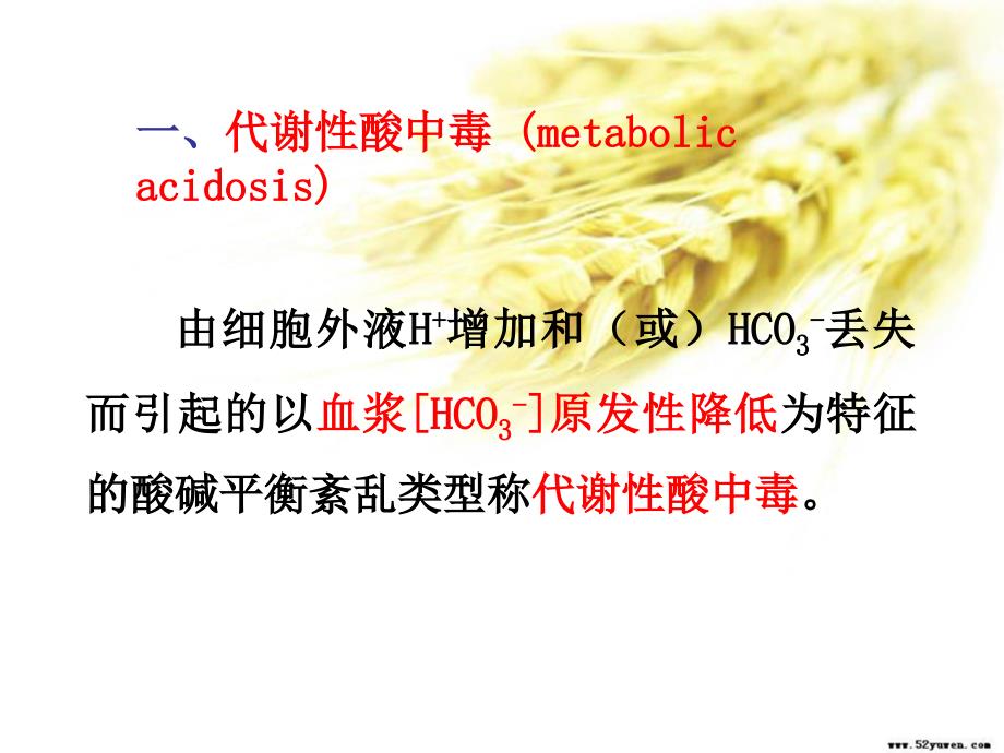 代谢性酸中毒PPT课件.ppt_第1页