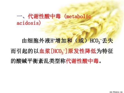 代谢性酸中毒PPT课件.ppt