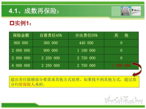 再保险案例.ppt