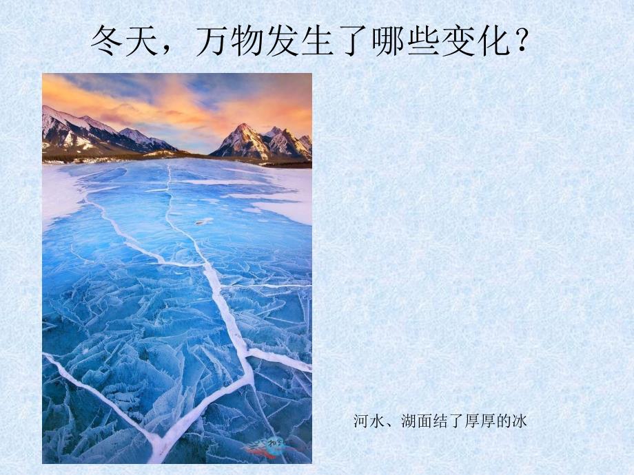 品德与生活一年级上寒冷的冬天.ppt_第3页
