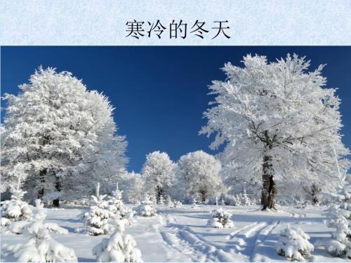 品德与生活一年级上寒冷的冬天.ppt