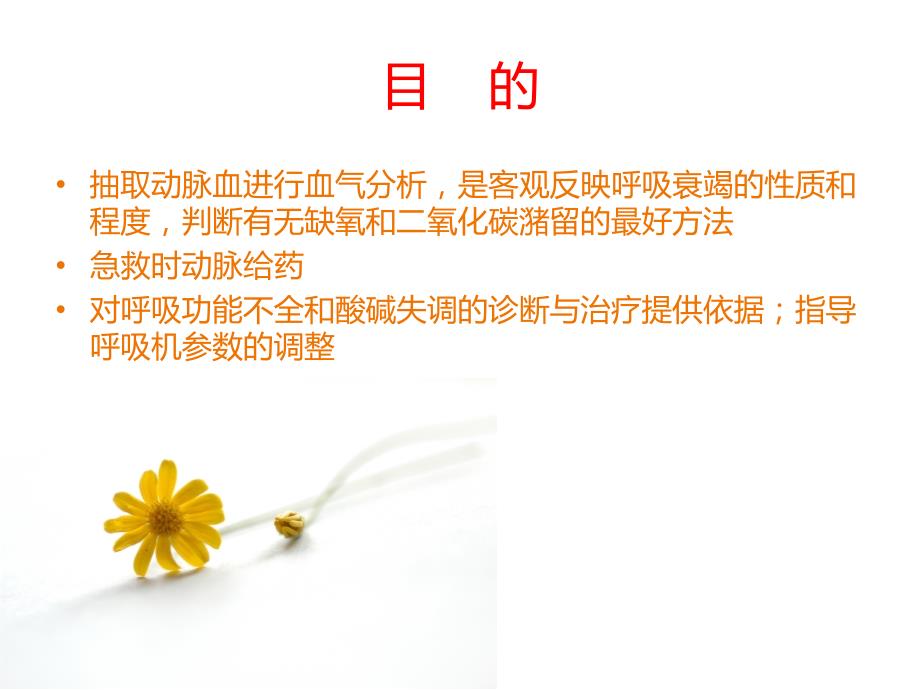 动脉采血技术.ppt_第2页