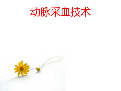 动脉采血技术.ppt