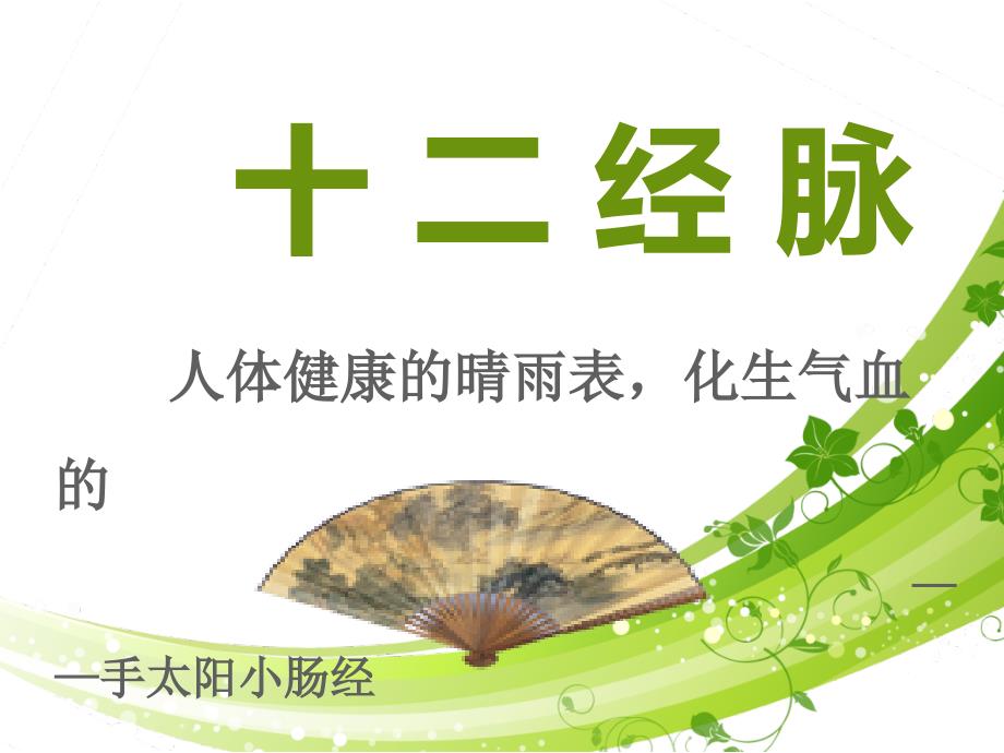 中医经络手太阳小肠经ppt课件.ppt_第2页