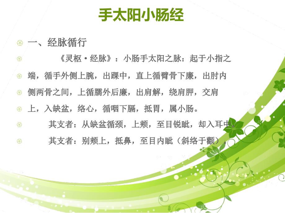 中医经络手太阳小肠经ppt课件.ppt_第3页