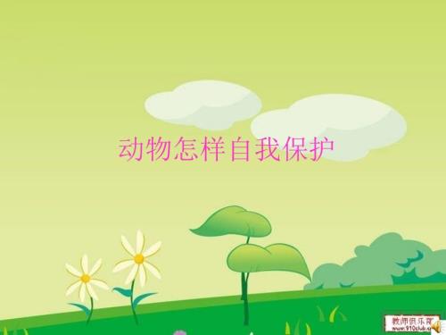 动物怎样自我保护PPT课件.ppt