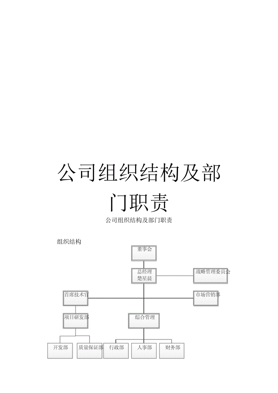 公司组织结构及部门职责模板.docx_第1页