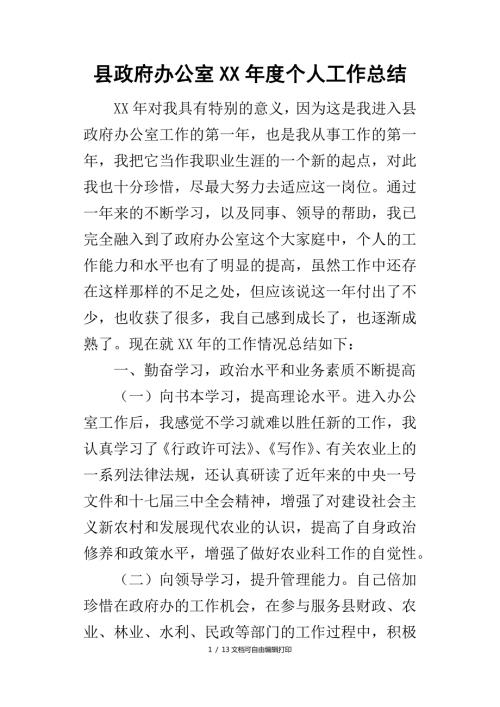 县政府办公室个人工作总结.docx