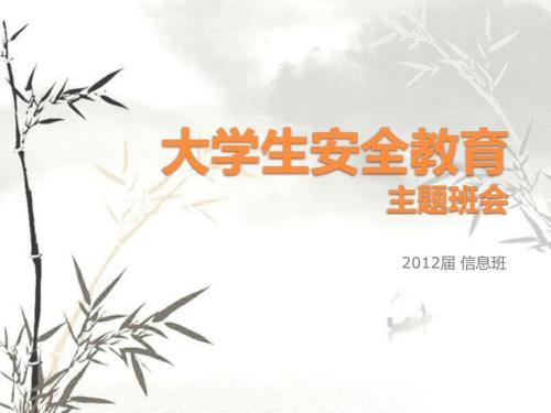 信息安全教育主题班会.pptx