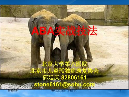 儿童孤独症aba实战技法培训课件北大第六医院.ppt