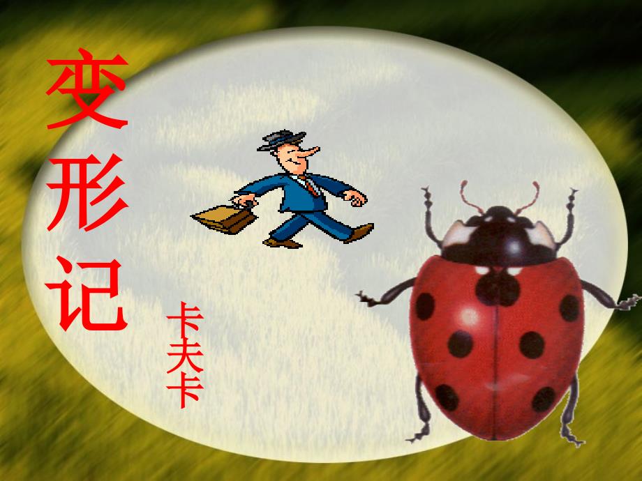 变形记卡夫卡.ppt_第3页