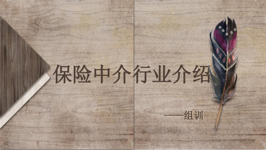 保险中介行业介绍.ppt_第1页