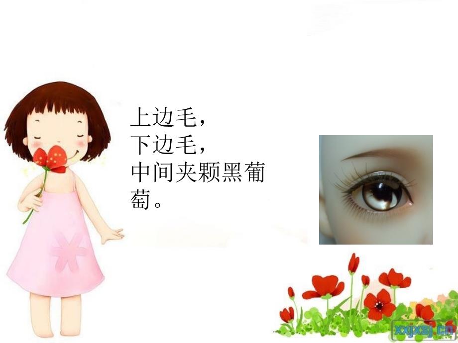 中班健康课件爱护眼睛.ppt_第2页