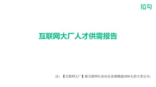 互联网大厂人才需求报告完整版.docx