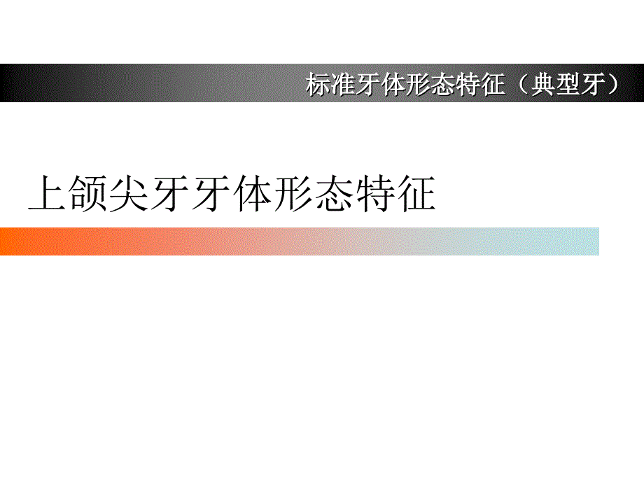 上颌尖牙牙体形态简述.ppt_第1页
