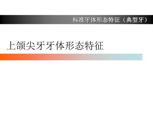 上颌尖牙牙体形态简述.ppt