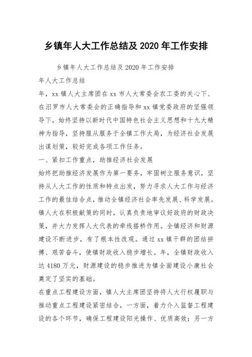 乡镇年人大工作总结及2020年工作安排.docx