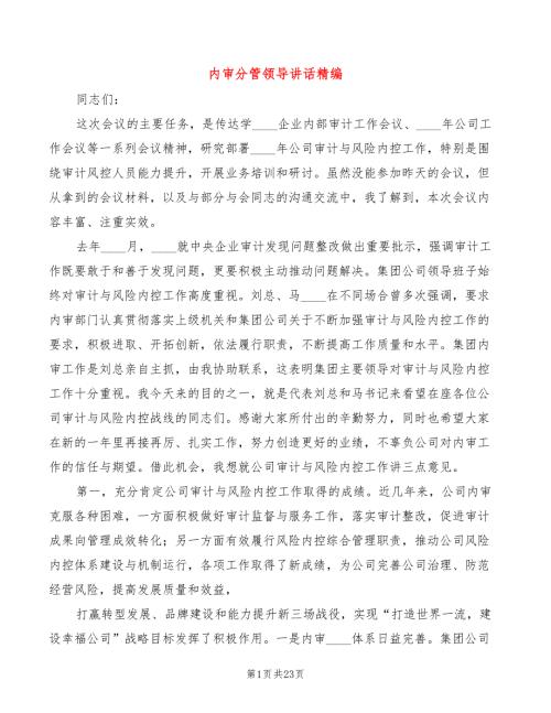 内审分管领导讲话精编4篇.doc