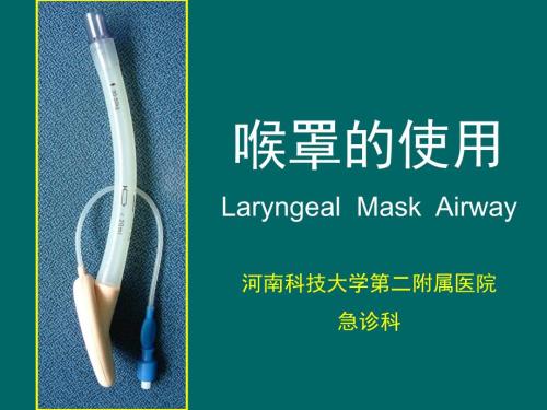 喉罩的使用PPT课件.ppt