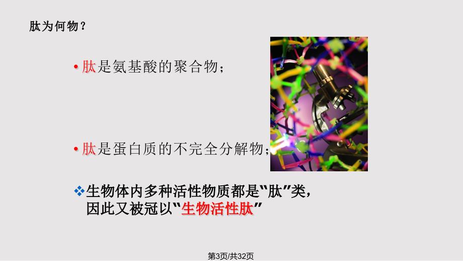 保健食品讲师培训肽为何物PPT课件.pptx_第3页